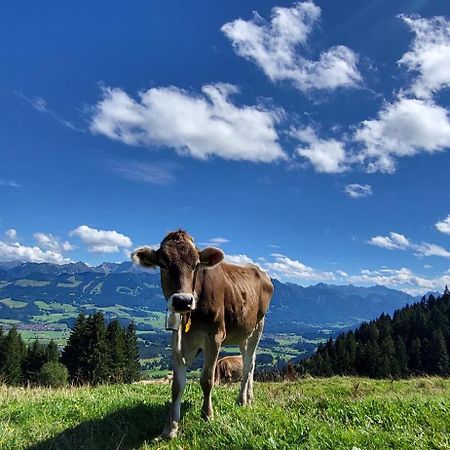 Fewo Allgaeuliebe Mit Wlan Oberstaufen Steibis المظهر الخارجي الصورة